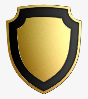 蓝色安全盾牌警察保护守护正义图标