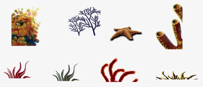 海草图片素材_海草图片素材免费下载_海草背景素材_海草模板下载-我图网-so.ooopic.com