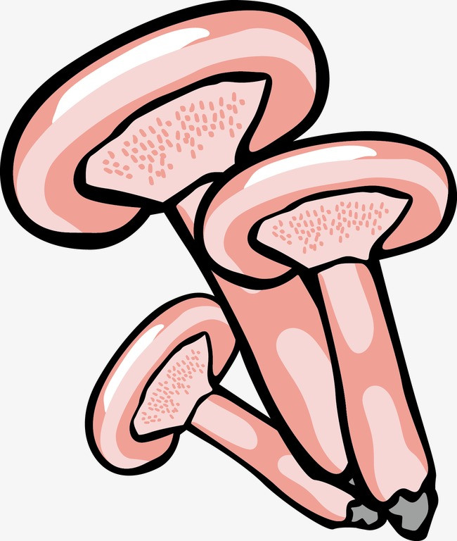 香菇