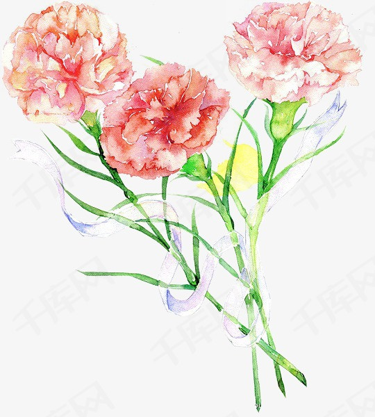 康乃馨康乃馨鲜花植物卡通手绘