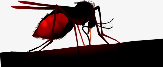 蚊子图片素材_蚊子图片素材免费下载_蚊子背景素材_蚊子模板下载_第1页-我图网-so.ooopic.com