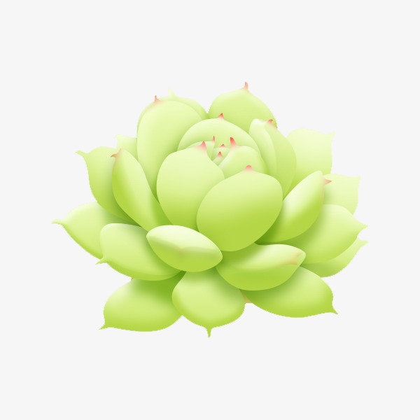 多肉植物图片素材_多肉植物图片素材免费下载_多肉植物背景素材_多肉植物模板下载-我图网-so.ooopic.com