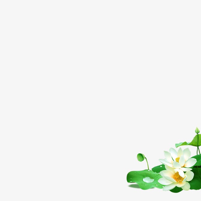 手绘荷叶_荷叶png素材-90设计