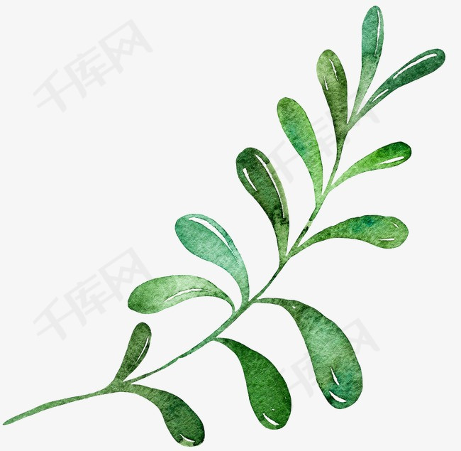 手绘绿色树叶手绘花边装饰素材油彩树叶花纹图案水墨绿叶
