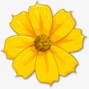 黄色小雏菊可爱花花小菊花png