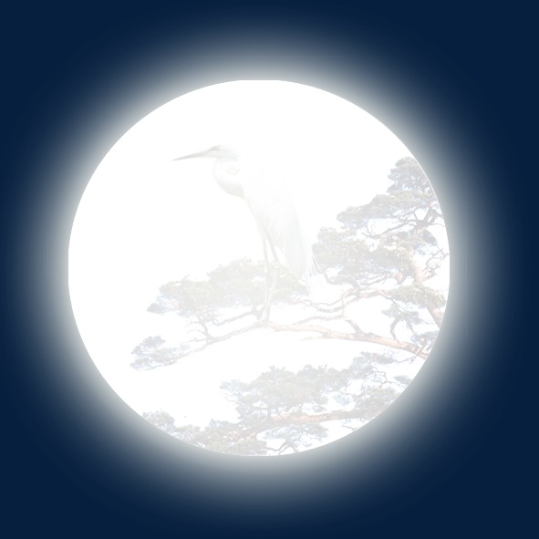 月亮矢量_月亮png素材-90设计