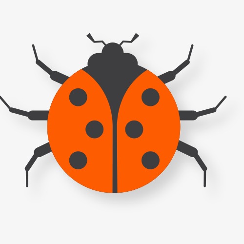 我们认识了许多昆虫有天牛,七星瓢虫,螳螂,蜻蜓……