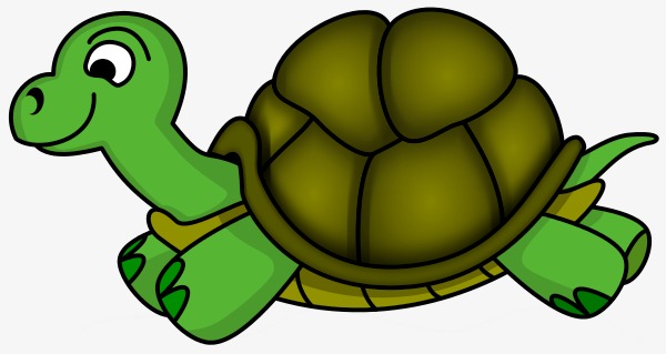 图片 卡通乌龟 > 【png】 乌龟 分类:手绘动漫 类目:其他 格式:png