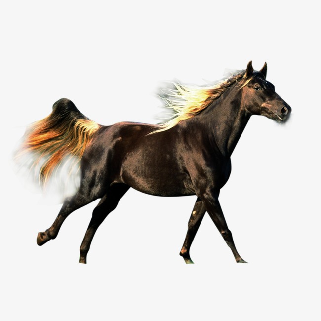 奔跑的马创意科技散点粒子飞散效果素材