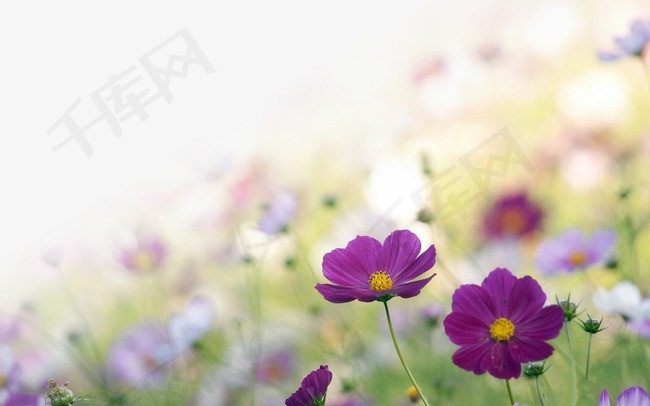 0957be4df759bb1.jpg!r650