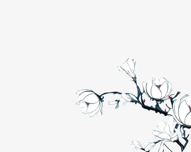 手绘淡雅玉兰花树