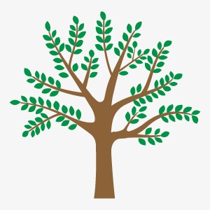 树是什么颜色翻译英文 0857bf91886b79c.jpg