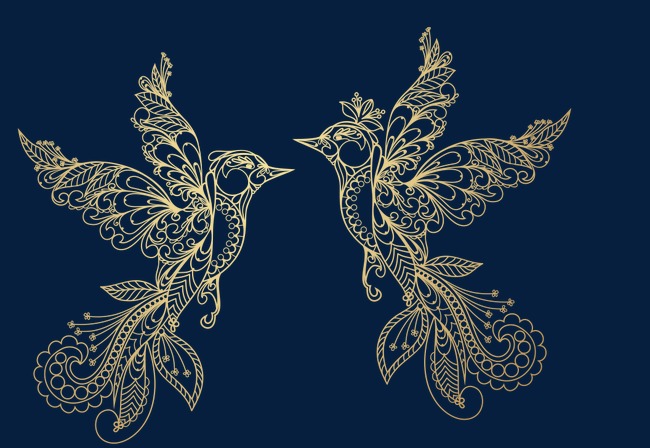 比翼鸟的爱情图片