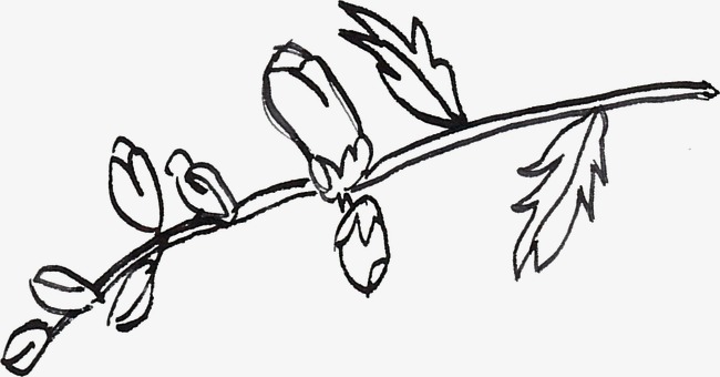树枝线描泰v树枝酒店图片