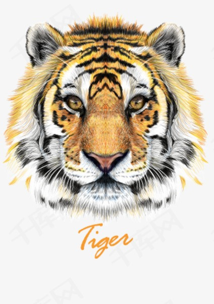 0957c7838d3f261.jpg!rw400