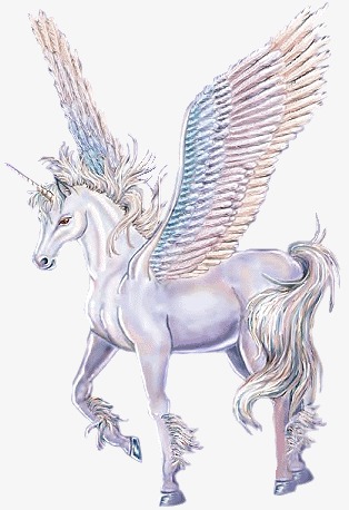 会飞的梦幻神马飞马天马神马动物马