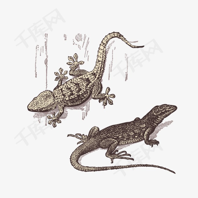 2057cac31f09f74.jpg!r650