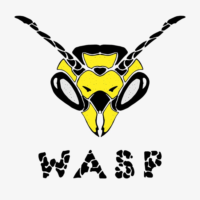 黄蜂头图片