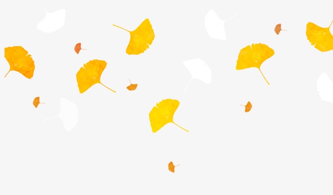 漂浮银杏叶素材图片免费下载_高清漂浮素材psd_千库网(图片编号3763382)