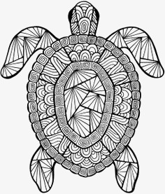 黑白乌龟素材图片免费下载_高清装饰图案png_千库网