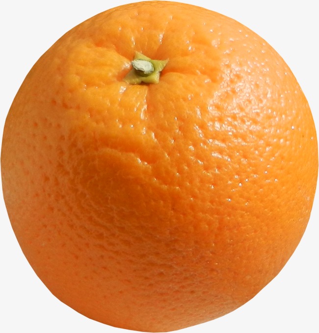 1857d3e2a8b8dd4.jpg