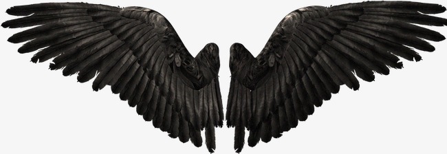 恶魔翅膀素材图片免费下载_高清png_千库网(图片编号3841573)