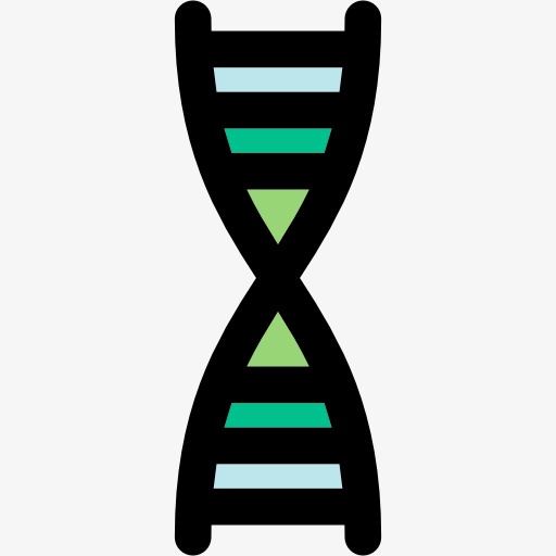 卡通dna