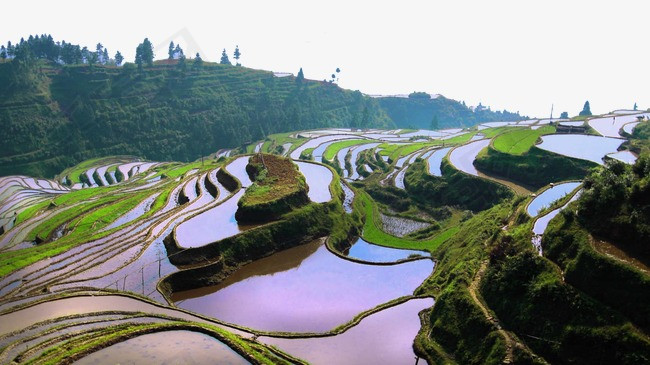 人口地延长_延长甲图片美甲图片(3)