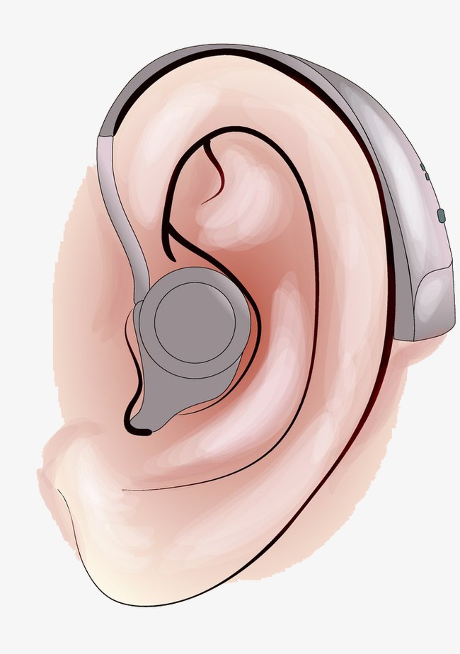 戴助听器的耳朵耳朵卡通听力
