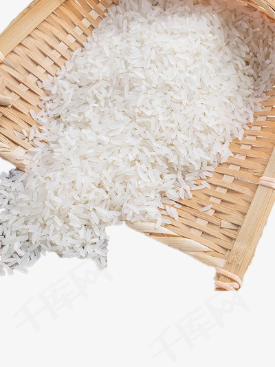 棍子大米里是什么原理_棍子鱼是什么鱼