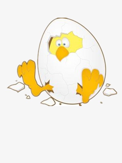 鸡宝宝破壳而出png素材-90设计
