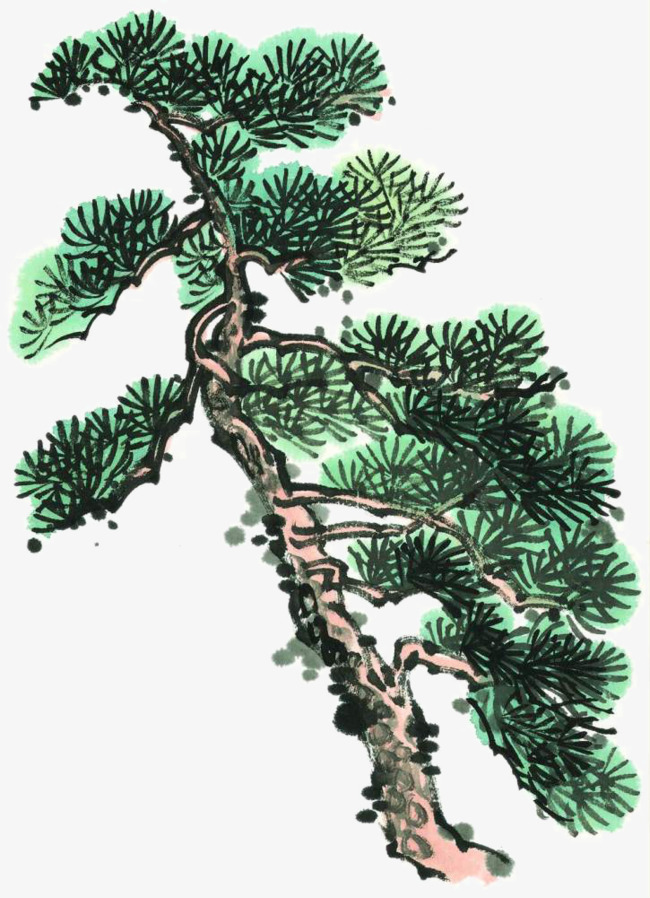 盆景 盆栽 树 松 松树 植物 650_898 竖版 竖屏