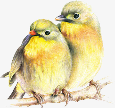 两个黄鹂鸣翠柳猜成语_两个黄鹂鸣翠柳画画(2)