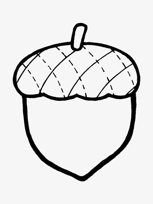 松果简笔画图片加颜色