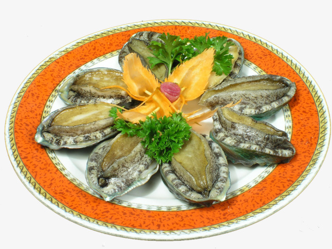 生鲜鲍鱼png素材-90设计