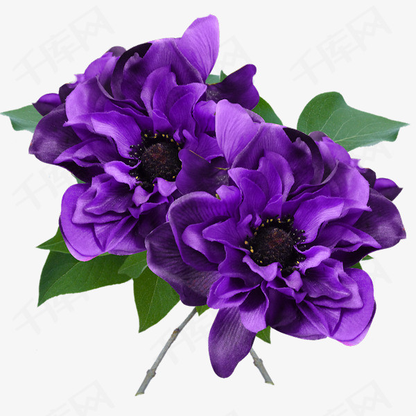 高清紫色花朵素材图片免费下载_高清png_千库网(图片