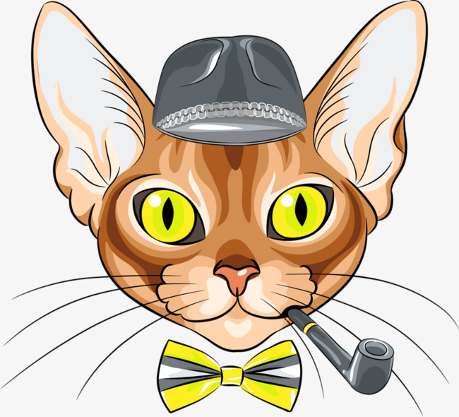 猫咪淘宝可群发软件_可以看片的猫咪软件_猫咪软件下载破