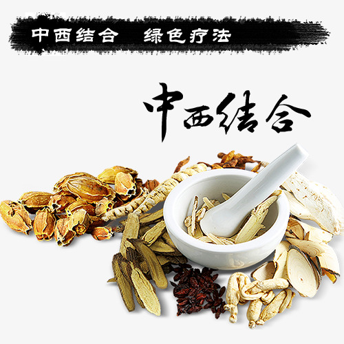 毛笔书法艺术字中医养生文字排版图片素材【免抠元素