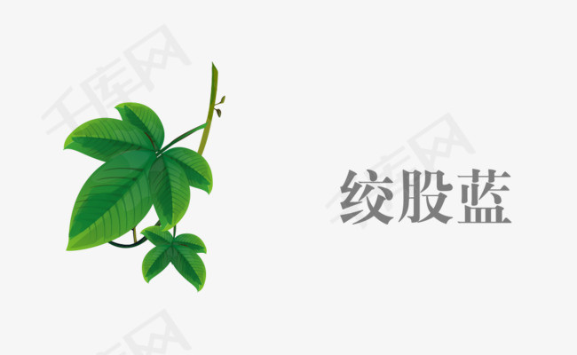 中草药图片大全清晰图 bce79e15ad151f6922ff2a5d472eace9.jpg!r650