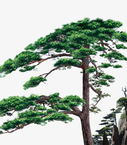 图片 水墨松树 ></p></a> 【png】 松树  分类: 类目:其他 格式:png 体积:0.