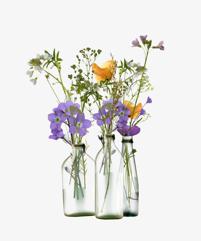 花瓶图片,花瓶图片简笔画