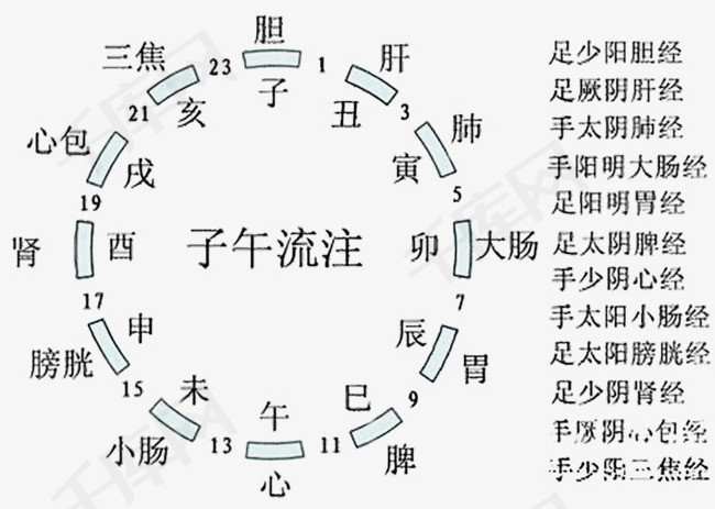 十二时辰养生图