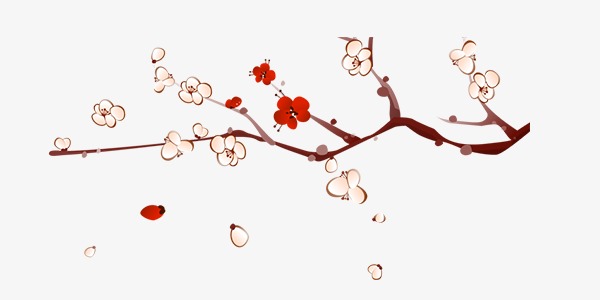 一枝梅图片