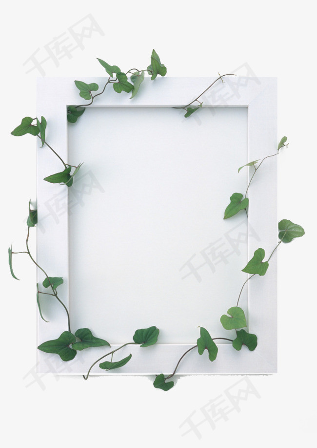 丝萝绕白框