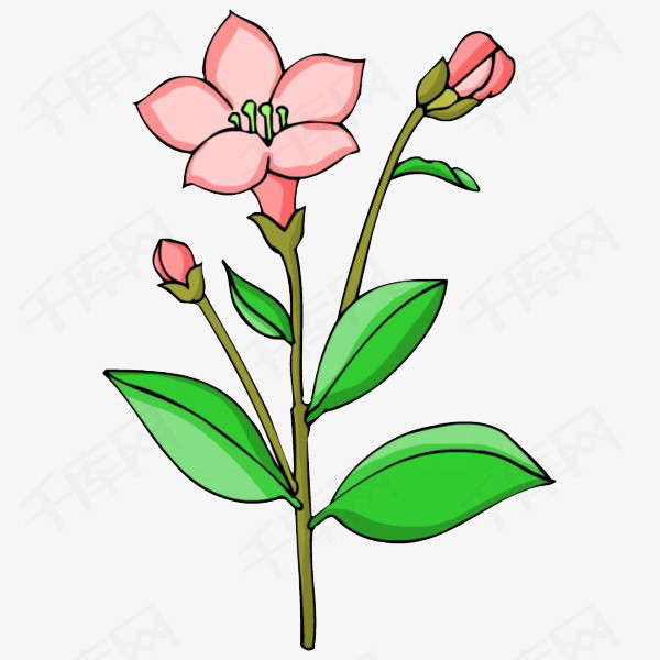 卡通花朵卡通手绘粉红色花朵绿叶
