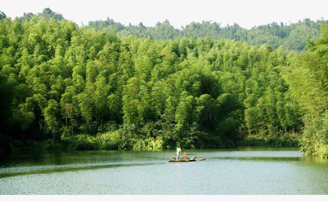 茶山竹海