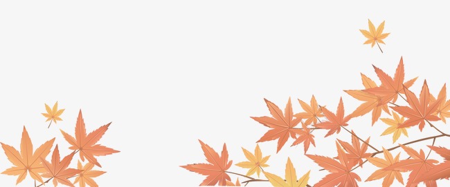 金秋枫叶装饰设计图案图片