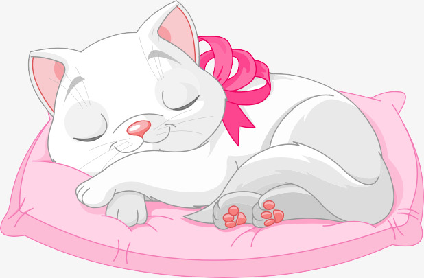白色小猫