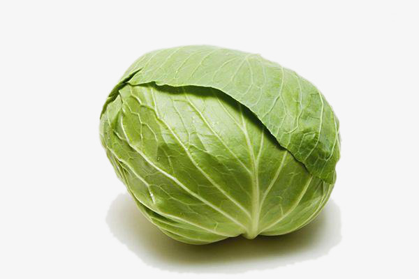 包菜素材