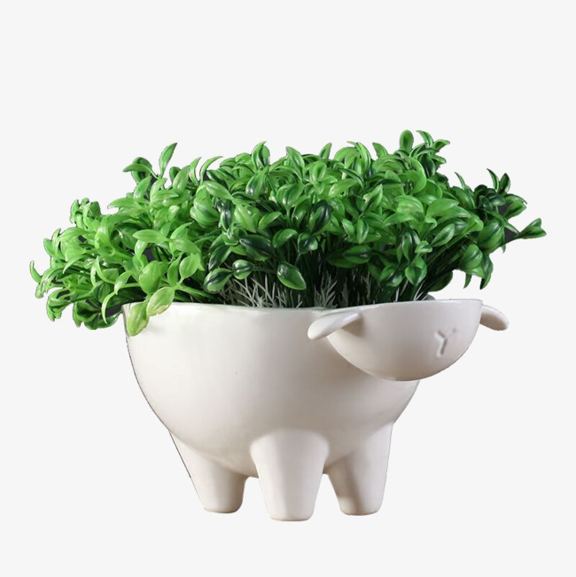 小绵羊花盆